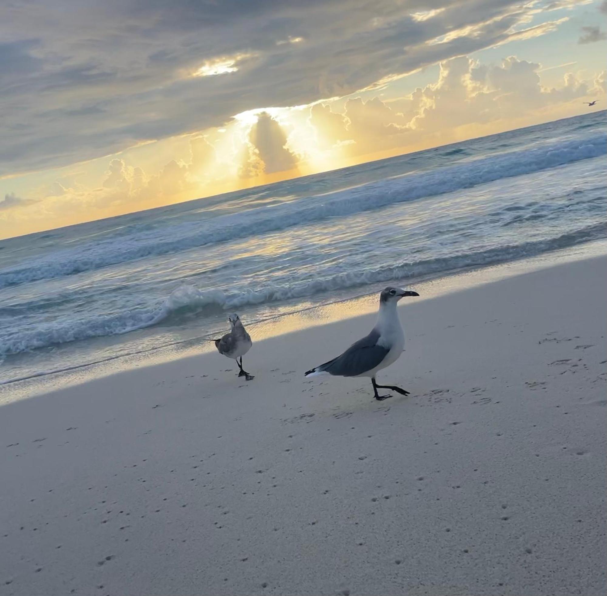 Suite Brisas Cancún Kültér fotó